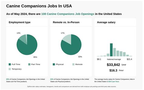 100+ Companion Jobs, Employment 25 August 2024.